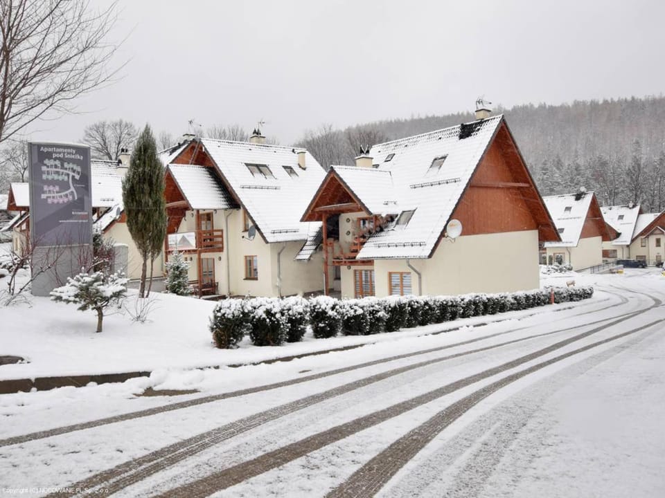 Domek Karpatka 2 przy wyciągu narciarskim 4 pokoje dwie łazinki Apartment in Lower Silesian Voivodeship