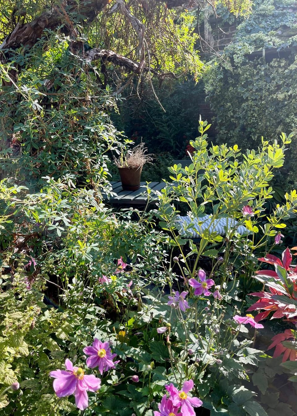 Garden, View (from property/room), Seating area