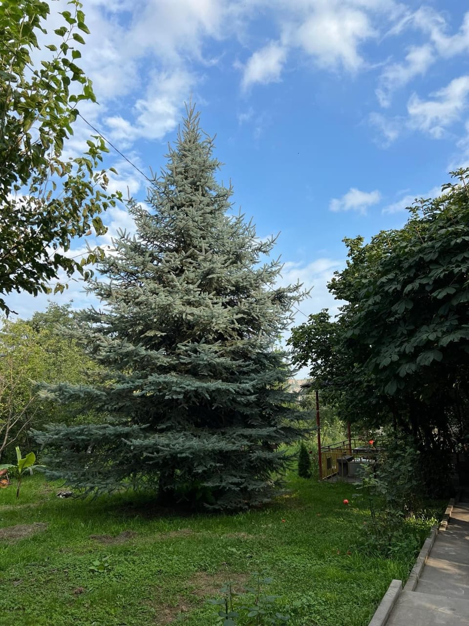 COMFORT M Guest House Bed and Breakfast in Armenia