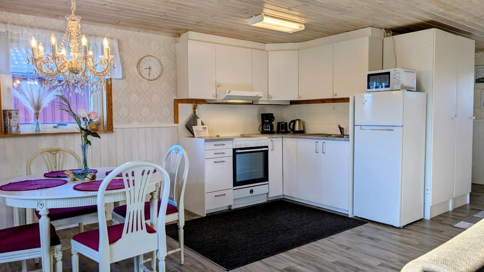Kitchen or kitchenette, Dining area, oven, stove, toaster