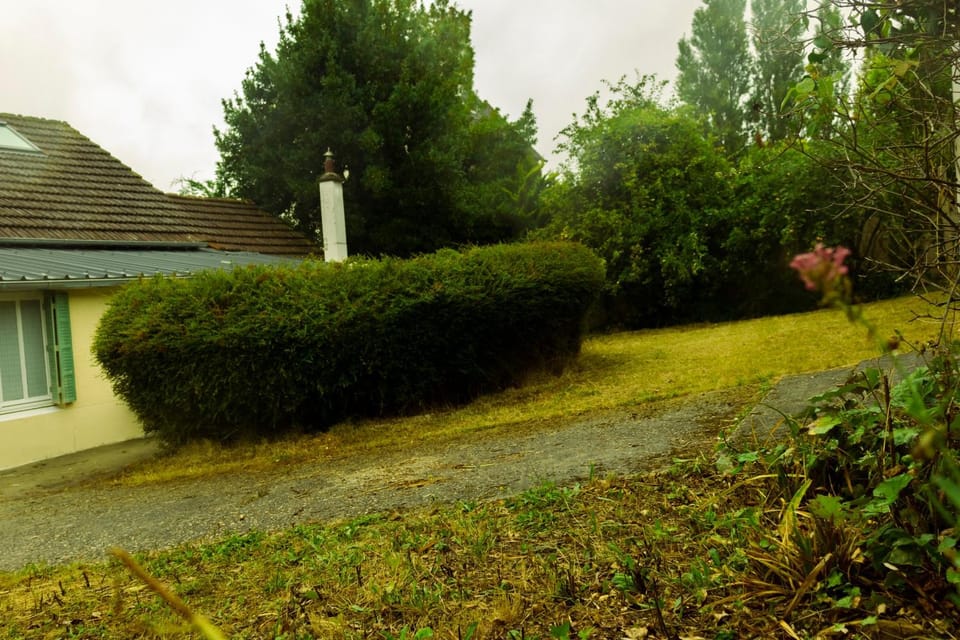 Garden, Garden