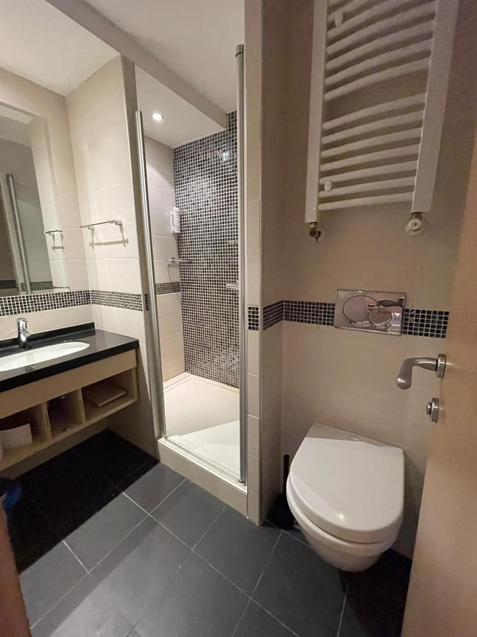 Shower, Toilet, Bathroom, bidet