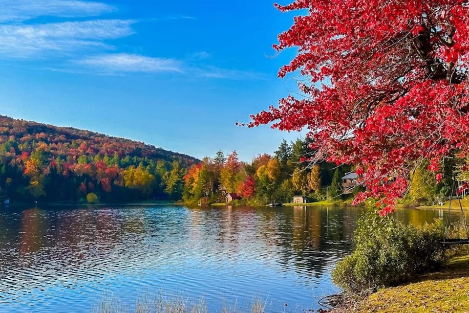 Serenity by the lake House in Orleans