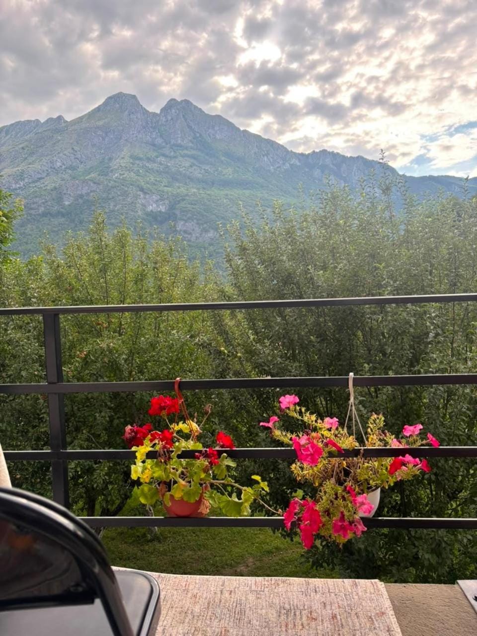 Guest House Ulnika Bed and Breakfast in Montenegro