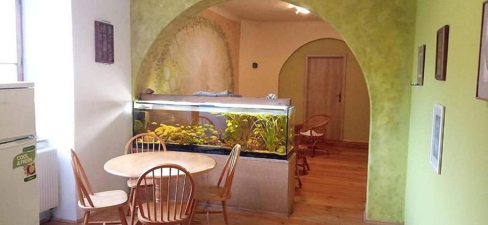 Kitchen or kitchenette, Living room, Seating area