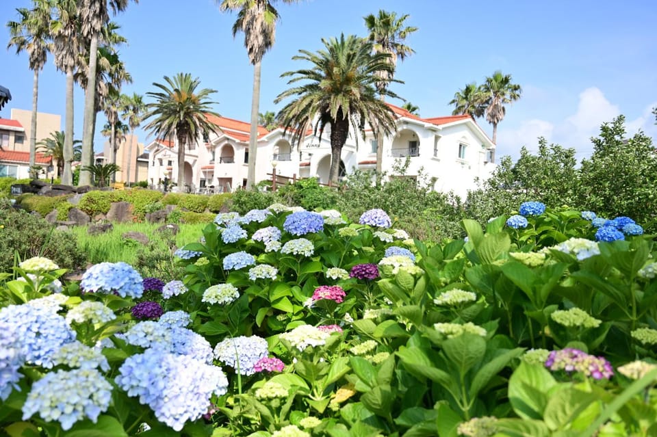 Property building, Spring, Natural landscape, Garden, Garden, Garden view