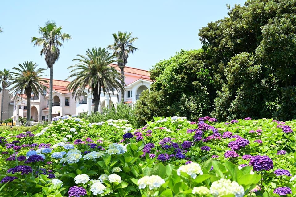 Spring, Natural landscape, Garden