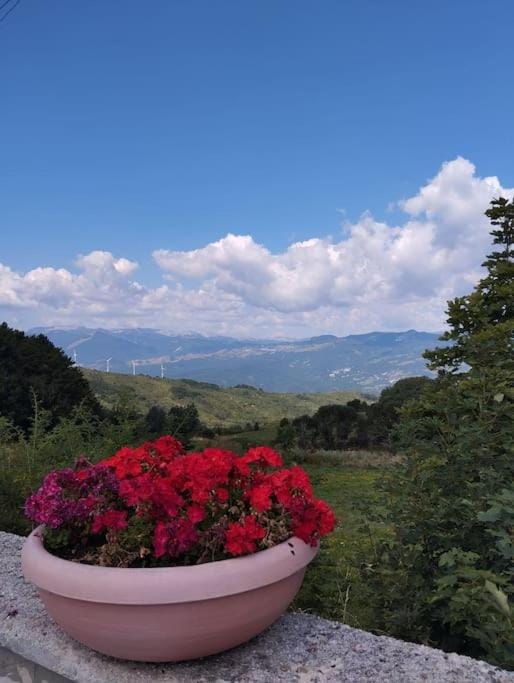 Natural landscape