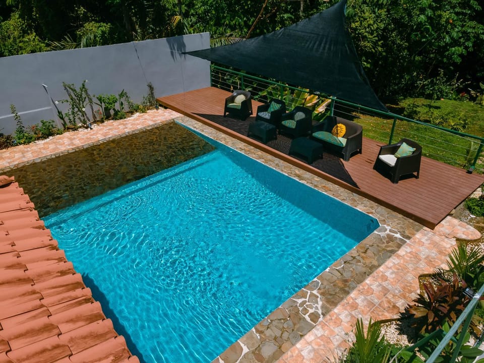 Garden, Garden view, Pool view, Swimming pool, Swimming pool, sunbed