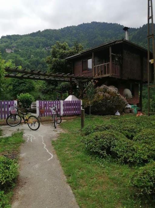 Shevi-Han Apartment in Turkey