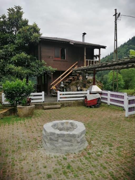 Shevi-Han Apartment in Turkey
