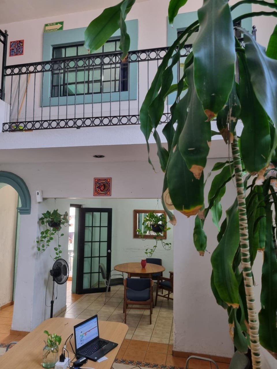 Suites Chingón Hotel in Guadalajara