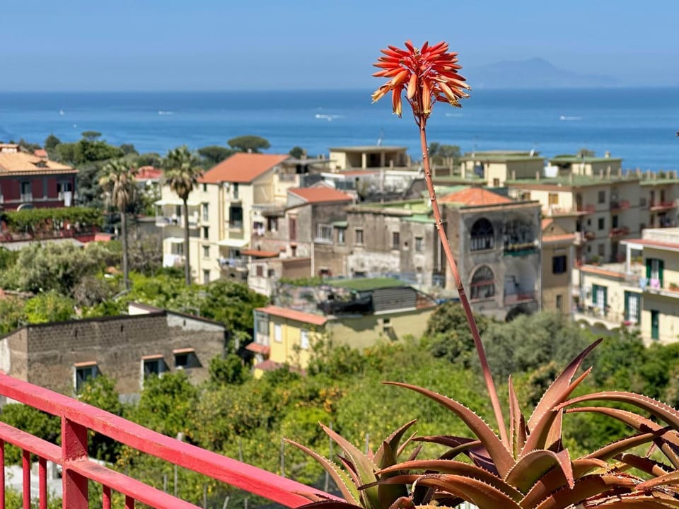 Natural landscape, City view, Sea view, Location
