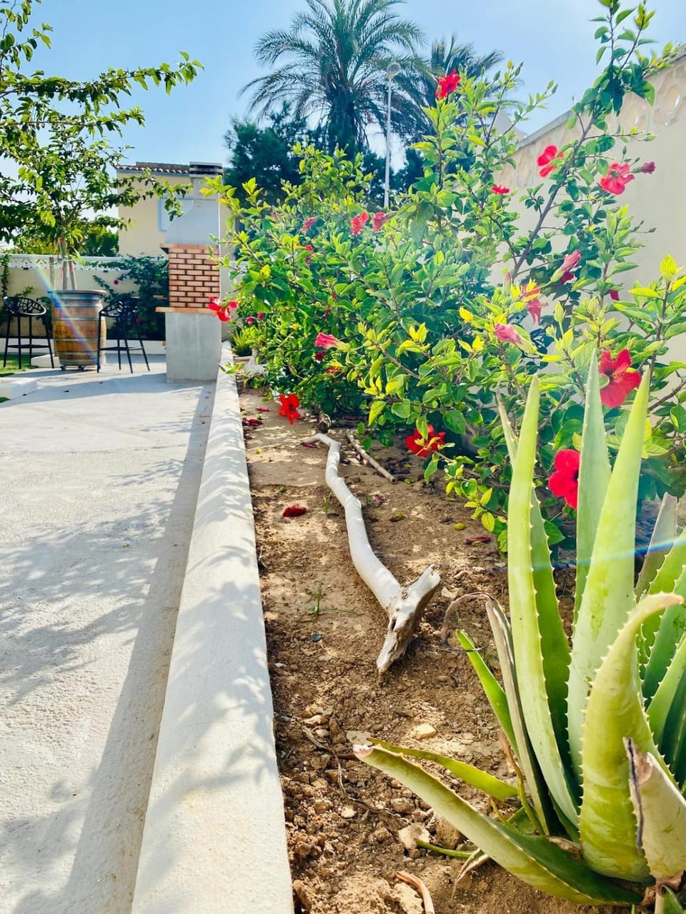 Garden view
