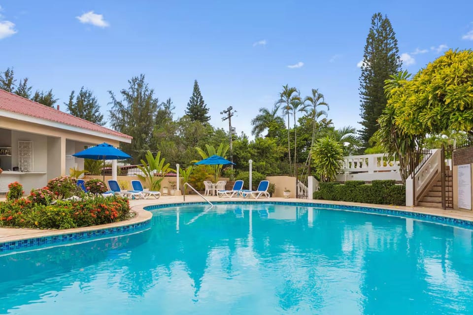 Day, Pool view, Swimming pool