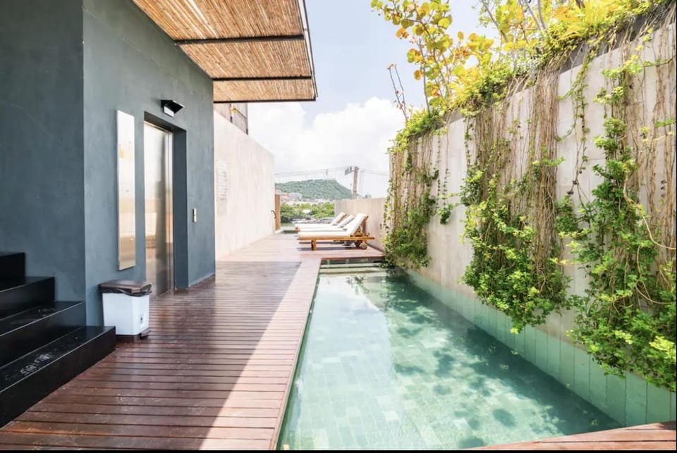 Swimming pool, Swimming pool