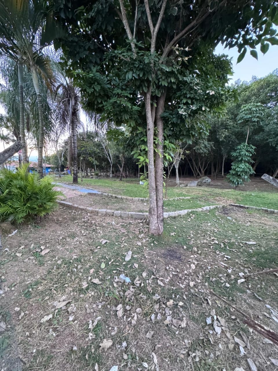 Children play ground