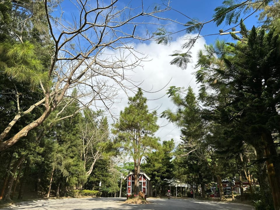 Natural landscape