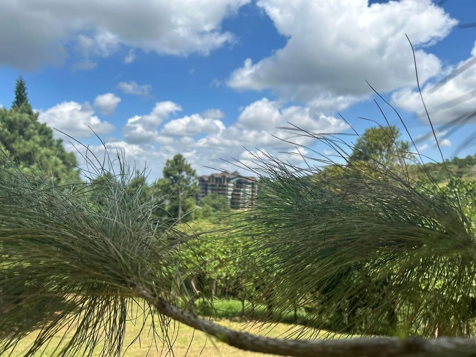 Day, Natural landscape