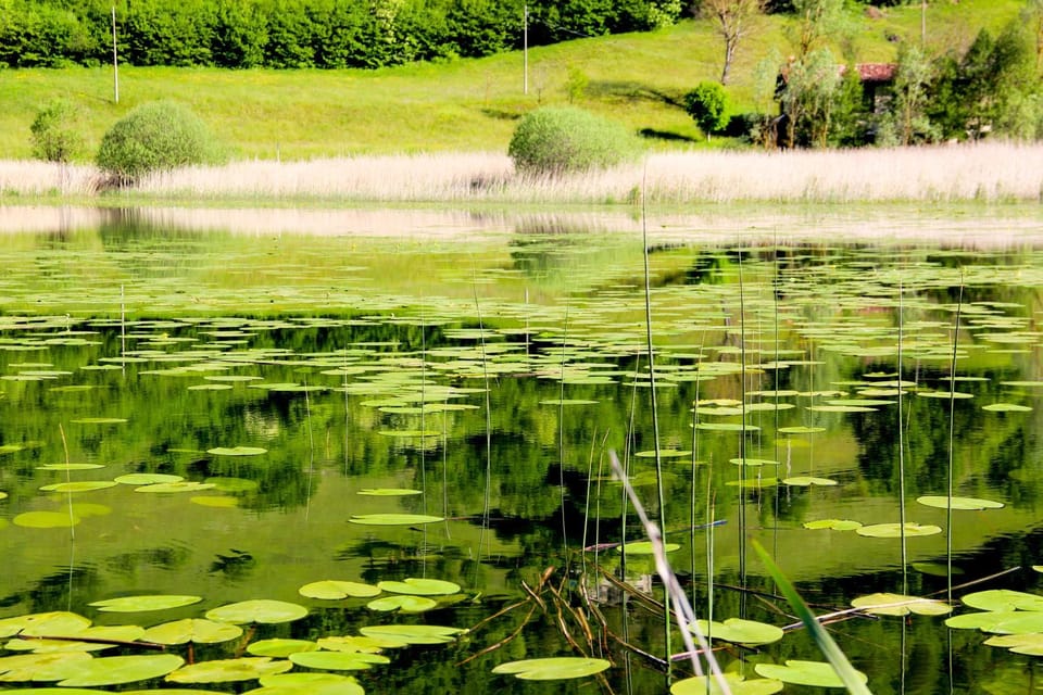 Agriturismo al Marter Farm Stay in Ledro