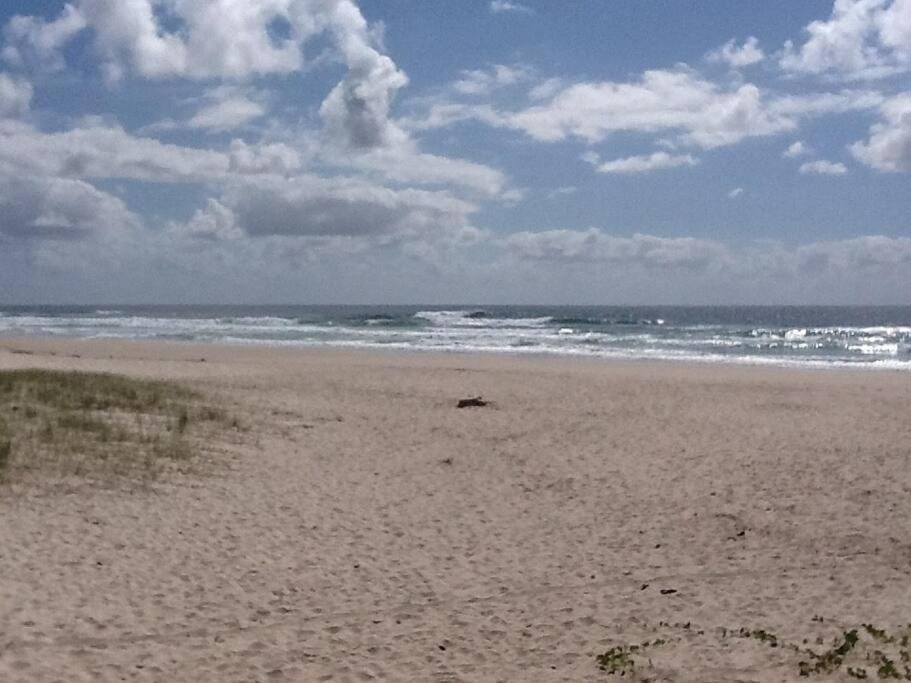 Ballina Beachside Retreat 3 min Walk onto Beach Apartment in East Ballina
