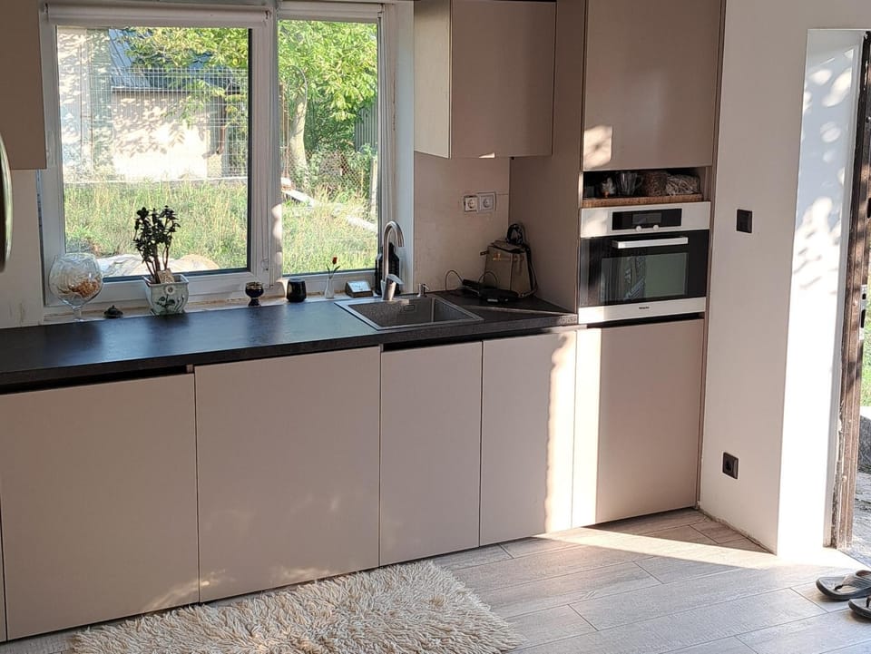 Villa Hincesti Apartment in Odessa Oblast