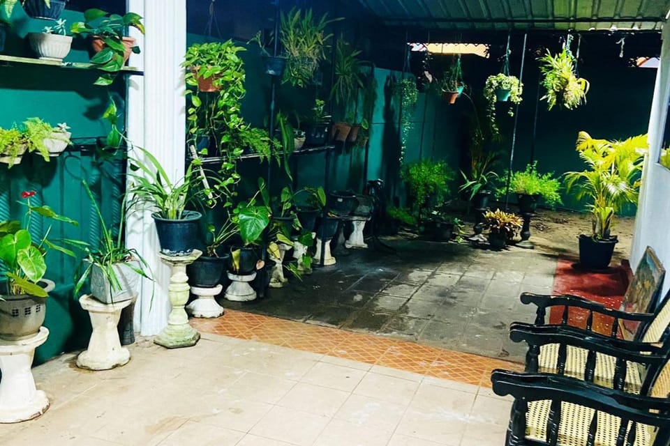 Patio, Garden