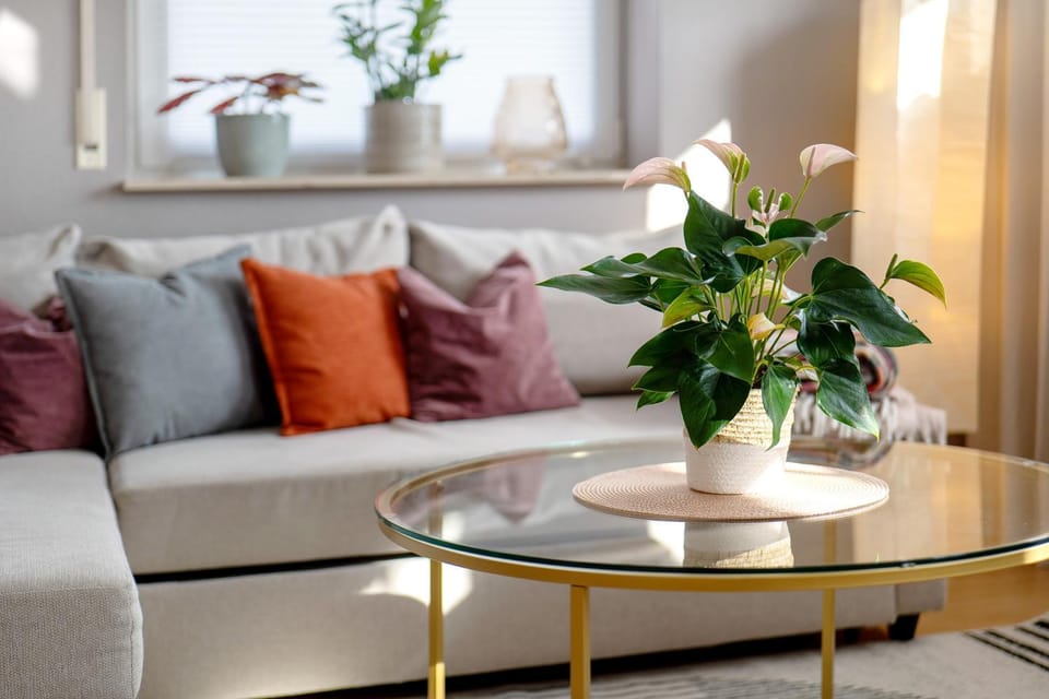 Property building, Living room
