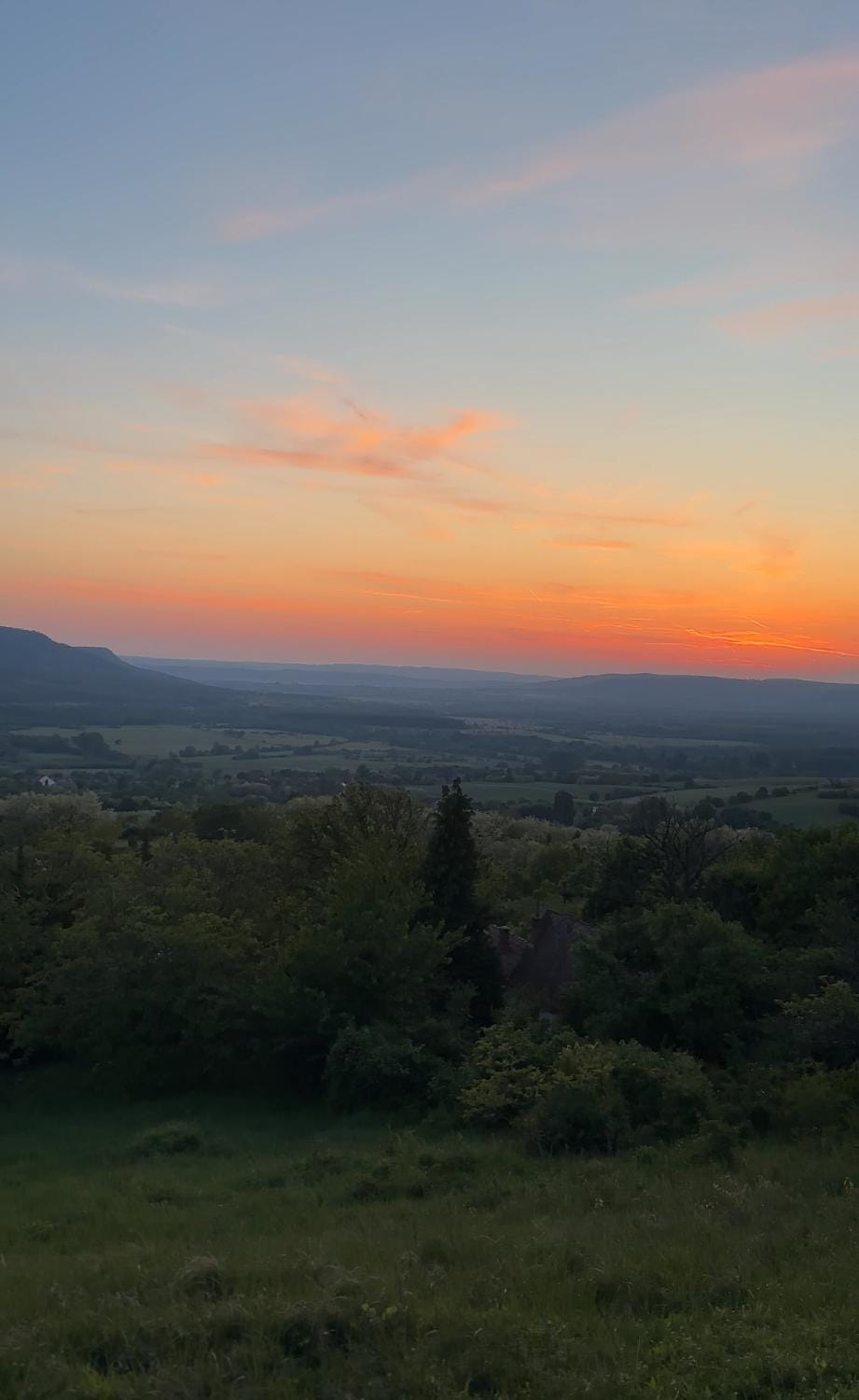 View (from property/room)