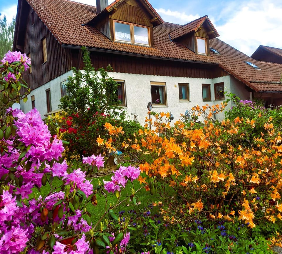 Property building, Spring, Garden view