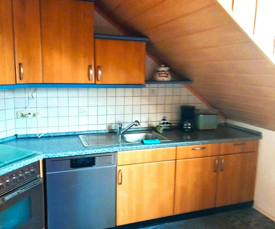 Kitchen or kitchenette, dishwasher
