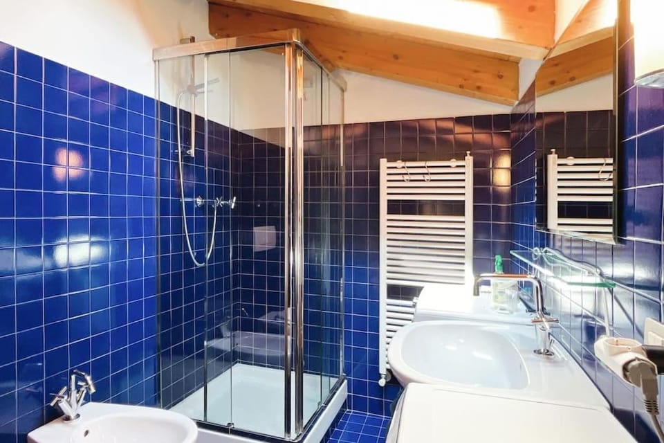Shower, Toilet, Bathroom, towels