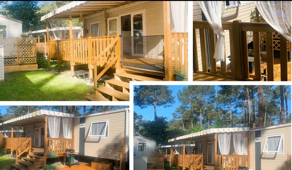 Property building, Day, Garden view