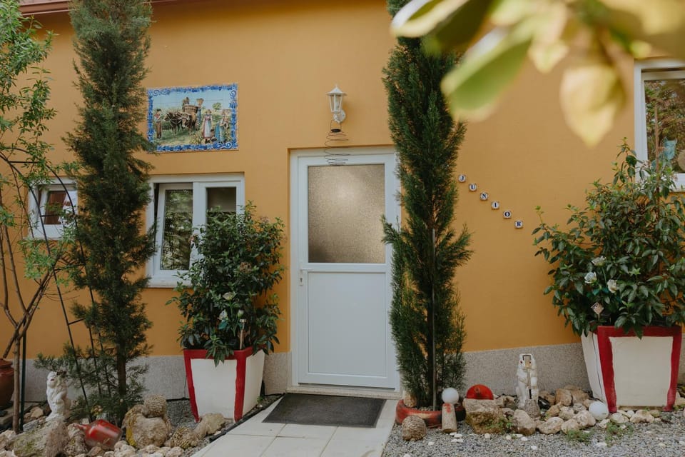 Property building, Day, Garden, Garden view