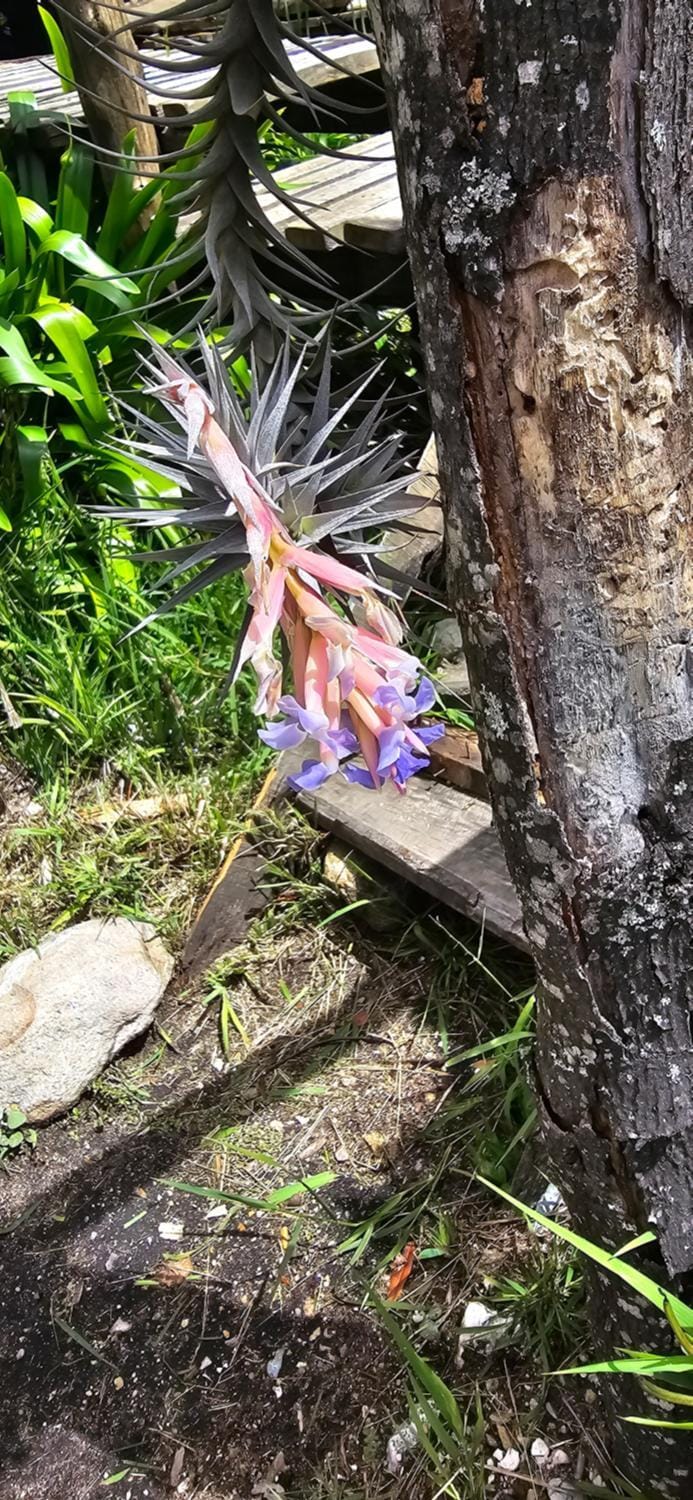 Scalarhoney Lodge Nature lodge in Eastern Cape