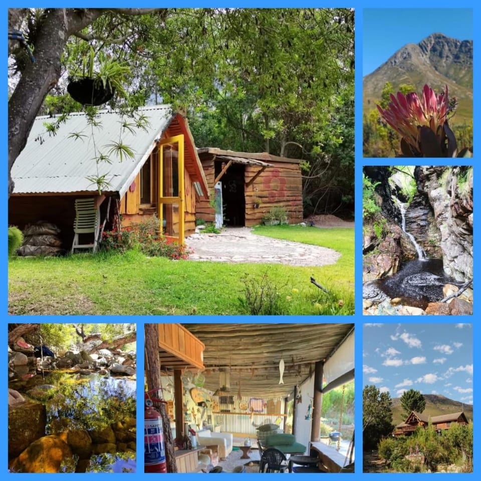 Scalarhoney Lodge Nature lodge in Eastern Cape