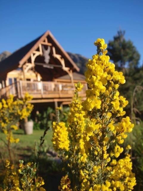 Scalarhoney Lodge Nature lodge in Eastern Cape
