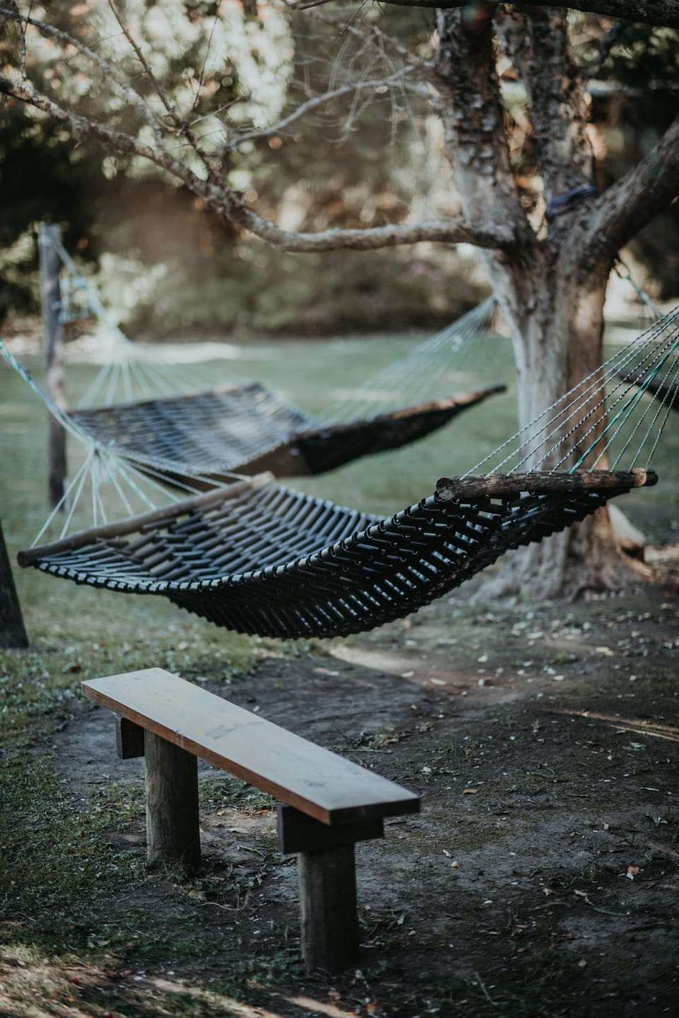 Day, Natural landscape