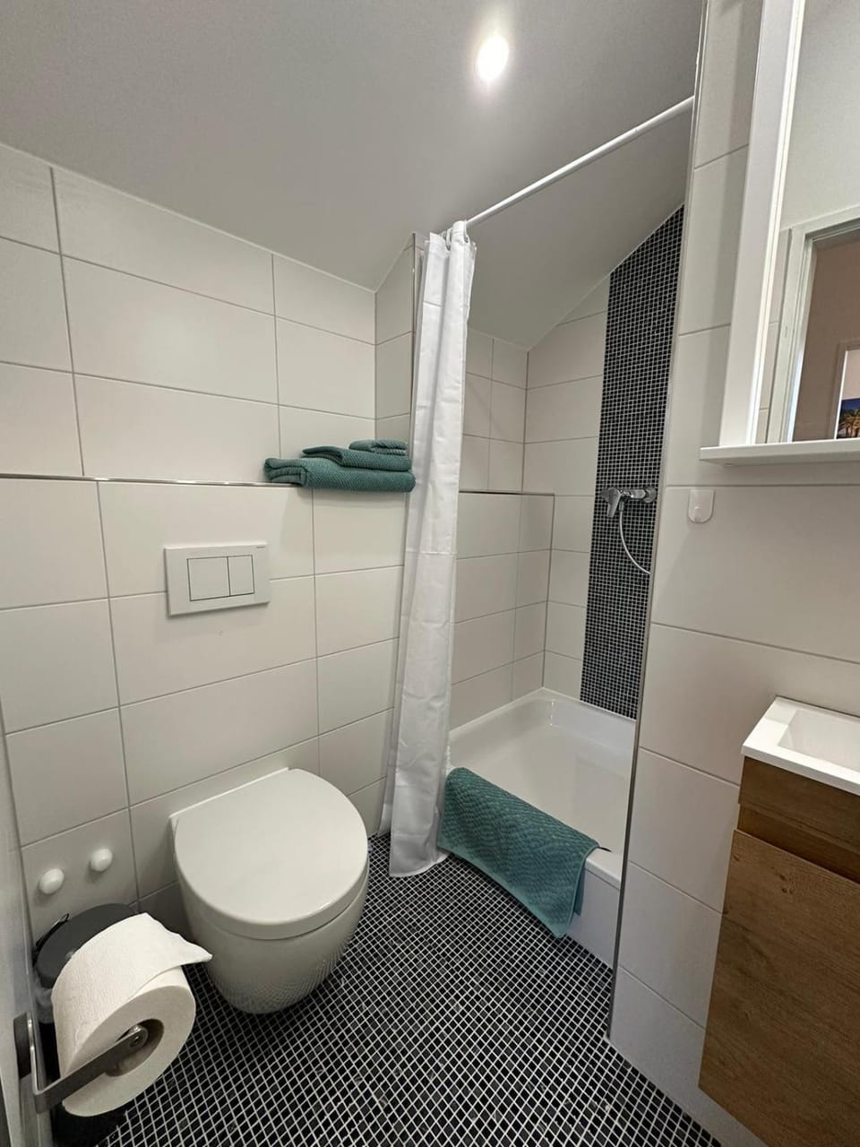 Shower, Toilet, Bathroom, towels