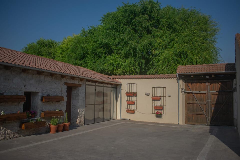 Patio, Garden