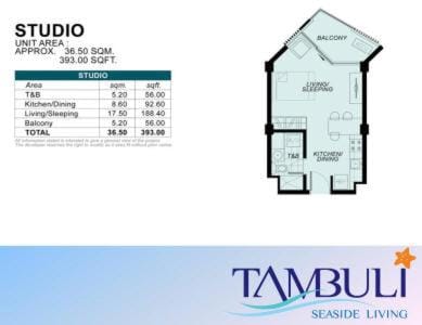 Cerulean Bliss Condo at Tambuli Mactan Fast Wifi Netflix Apartment in Lapu-Lapu City