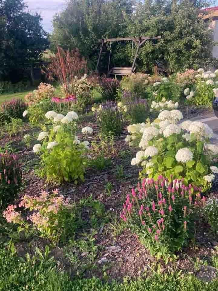 Garden view