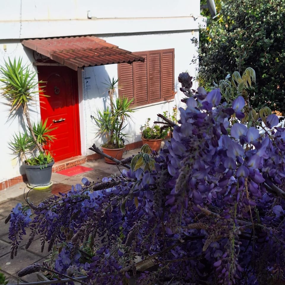 Giallo Limone B&B Bed and Breakfast in Salerno