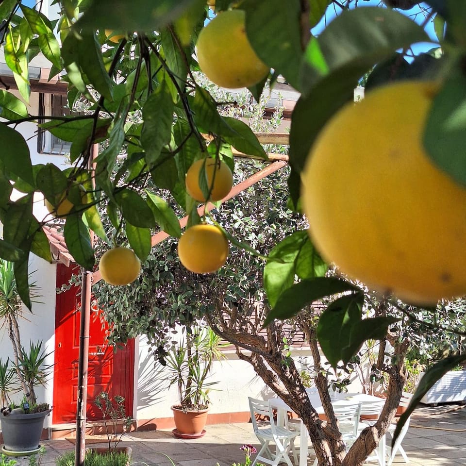 Giallo Limone B&B Bed and Breakfast in Salerno