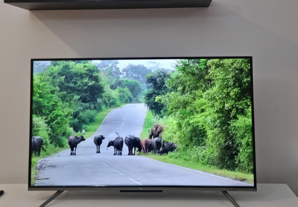 TV and multimedia