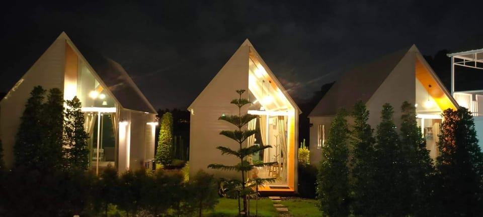 Night, Garden view