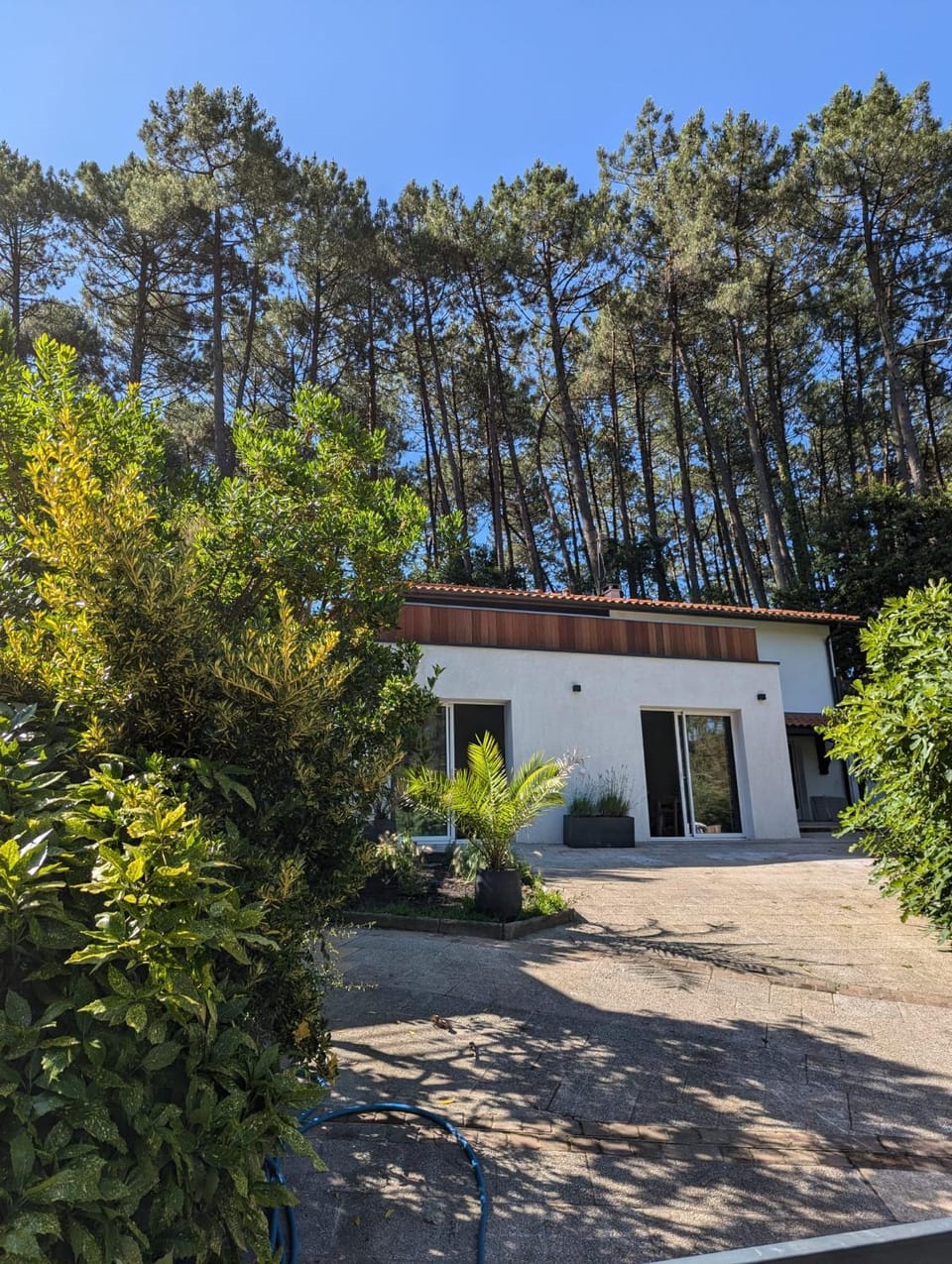 Nid douillet sous les pins Apartment in Hossegor
