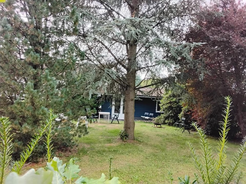 Day, Garden, Garden view