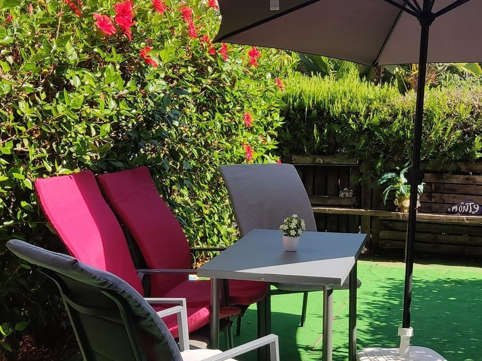 Patio, Spring, Garden, Living room, Seating area, Garden view