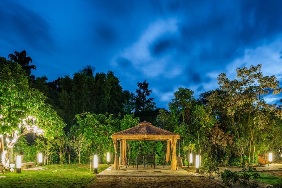 Night, Garden